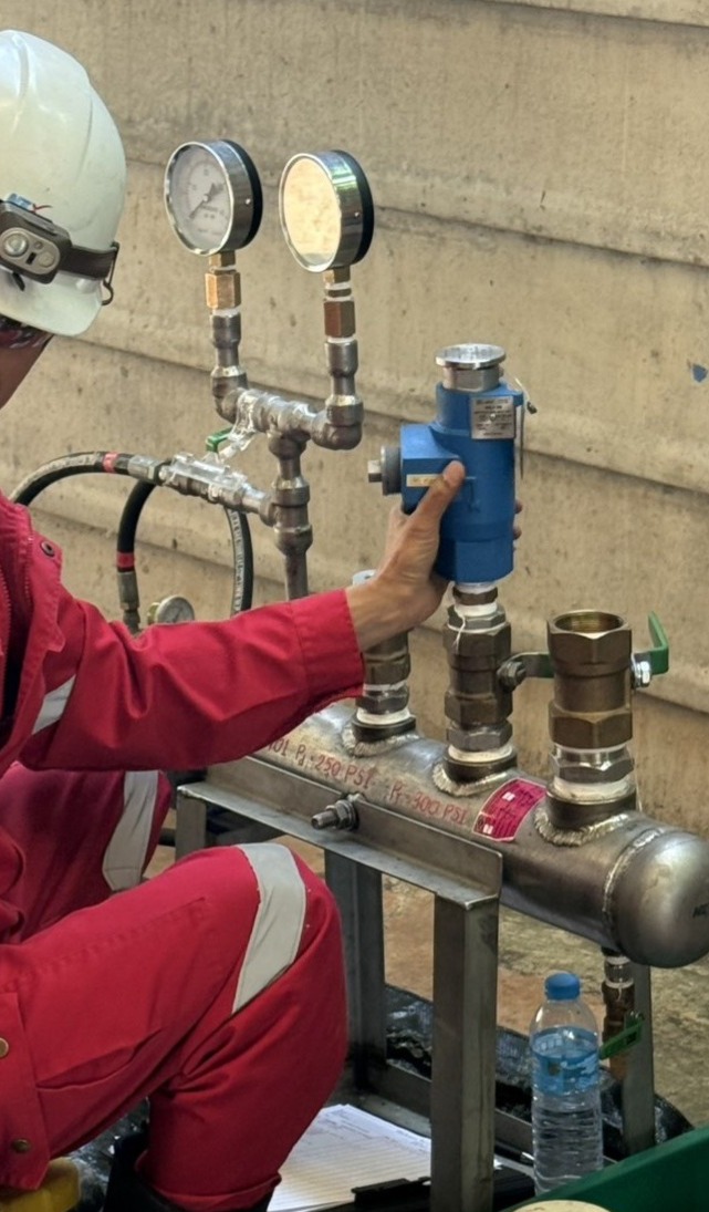 Quality assurance and inspection steps