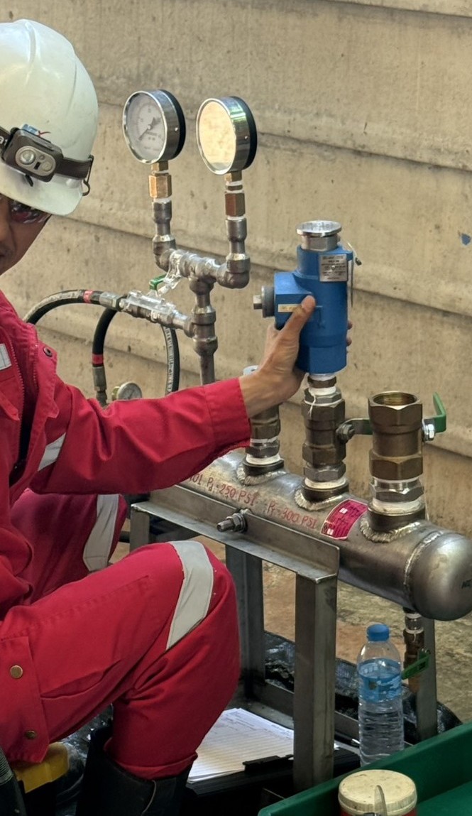 Quality assurance and inspection steps